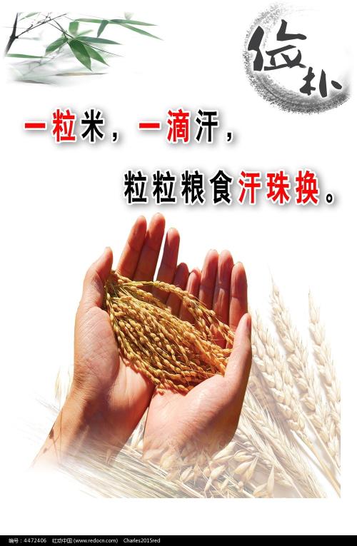 罗马第二大学文凭购买